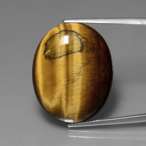Tiger's eye marron naturelle coupe ovale, 22,74 ct, opaque