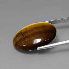 Tiger's eye marron naturelle coupe ovale, 22,74 ct, opaque