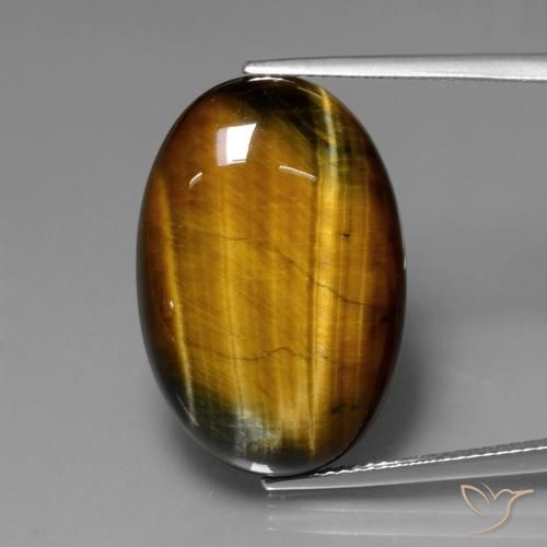 20.61ct Naturel Brun moyen Œil de tigre, ovale, Opaque