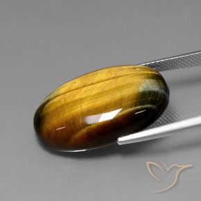 Œil de tigre Brun moyen naturelle ovale, 20.61 ct, Opaque
