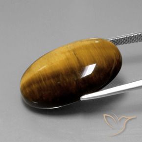 Œil de tigre Marron chaud naturelle ovale, 20.28 ct, Opaque