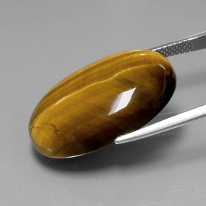 Tiger's eye marron naturelle coupe ovale, 20,54 ct, opaque