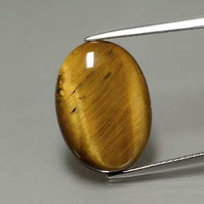 Tiger's eye marron naturelle coupe ovale, 7,51 ct, opaque