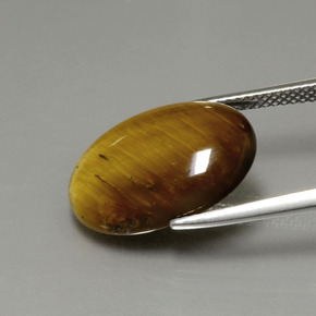 Tiger's eye marron naturelle coupe ovale, 7,51 ct, opaque