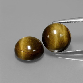 Achetez naturel ct Or Brun Oeil de Tigre gems, Coupe roude, En provenance Thaïlande chez GemSelect. En stock, livraison internationale!