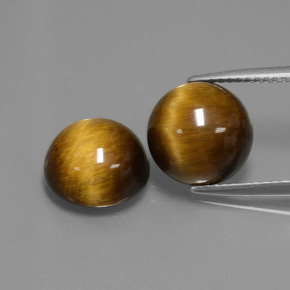 Achetez naturel ct marron doré œil de tigre gems, coupe roude, en provenance thaïlande chez gemselect. en stock, livraison internationale!