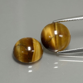 Achetez naturel ct marron tiger's eye gems, coupe roude, en provenance thaïlande chez gemselect. en stock, livraison internationale!