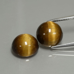 Achetez naturel ct Or Brun Oeil de Tigre gems, Coupe roude, En provenance Thaïlande chez GemSelect. En stock, livraison internationale!