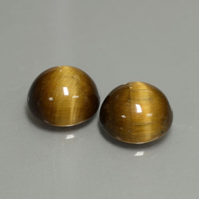 Achetez naturel ct Or Brun Oeil de Tigre gems, Coupe roude, En provenance Thaïlande chez GemSelect. En stock, livraison internationale!