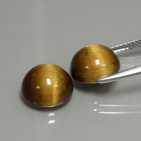 Achetez naturel ct Or Brun Oeil de Tigre gems, Coupe roude, En provenance Thaïlande chez GemSelect. En stock, livraison internationale!