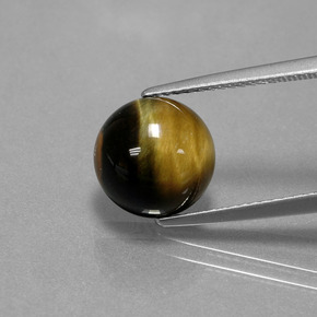 Oeil de Tigre Or Brun naturelle Coupe roude, 3.81 ct, Opaque