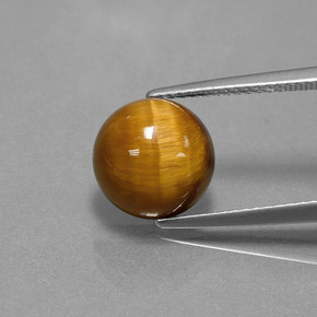 Tiger's eye marron naturelle coupe roude, 3,69 ct, opaque
