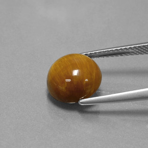 Tiger's eye marron naturelle coupe roude, 3,69 ct, opaque