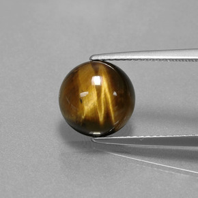 Tiger's eye marron naturelle coupe roude, 3,72 ct, opaque