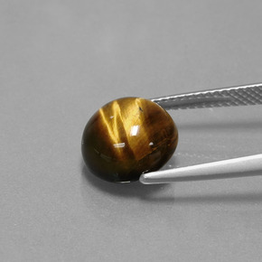 Tiger's eye marron naturelle coupe roude, 3,72 ct, opaque