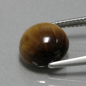 Oeil de Tigre Or Brun naturelle Coupe roude, 3.74 ct, Opaque