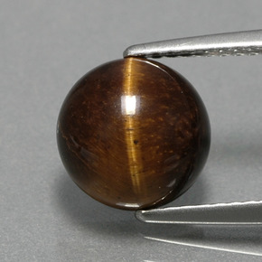 Tiger's eye marron naturelle coupe roude, 2,79 ct, opaque