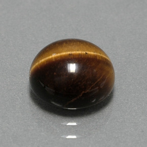 Tiger's eye marron naturelle coupe roude, 2,79 ct, opaque