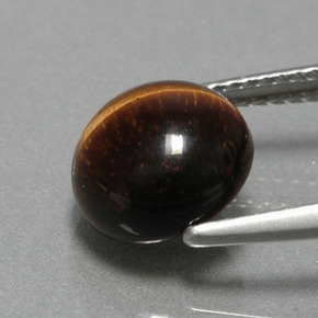 Tiger's eye marron naturelle coupe roude, 2,79 ct, opaque