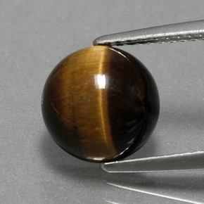 Tiger's eye marron naturelle coupe roude, 2,78 ct, opaque