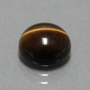Tiger's eye marron naturelle coupe roude, 2,78 ct, opaque