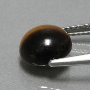 Tiger's eye marron naturelle coupe roude, 2,78 ct, opaque