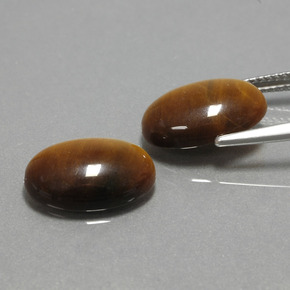 Achetez naturel ct marron tiger's eye gems, coupe ovale, en provenance thaïlande chez gemselect. en stock, livraison internationale!