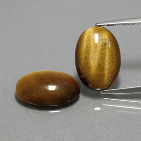 Achetez naturel ct marron tiger's eye gems, coupe ovale, en provenance thaïlande chez gemselect. en stock, livraison internationale!