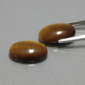 Achetez naturel ct marron tiger's eye gems, coupe ovale, en provenance thaïlande chez gemselect. en stock, livraison internationale!