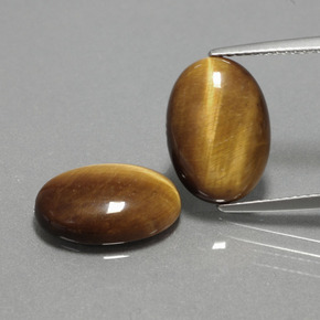 Achetez naturel ct marron tiger's eye gems, coupe ovale, en provenance thaïlande chez gemselect. en stock, livraison internationale!