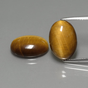 Achetez naturel ct marron tiger's eye gems, coupe ovale, en provenance thaïlande chez gemselect. en stock, livraison internationale!