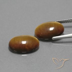 Shop natural 9.13ct Marron chaud Œil de tigre gems, ovale, from Thaïlande at GemSelect. In stock, global shipping!
