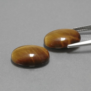 Achetez naturel ct Or Brun Oeil de Tigre gems, Coupe ovale, En provenance Thaïlande chez GemSelect. En stock, livraison internationale!