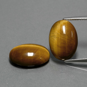Achetez naturel ct marron tiger's eye gems, coupe ovale, en provenance thaïlande chez gemselect. en stock, livraison internationale!
