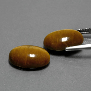 Achetez naturel ct marron tiger's eye gems, coupe ovale, en provenance thaïlande chez gemselect. en stock, livraison internationale!