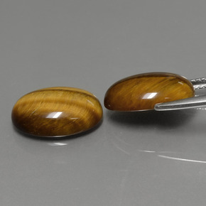 Achetez naturel ct marron tiger's eye gems, coupe ovale, en provenance thaïlande chez gemselect. en stock, livraison internationale!