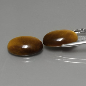 Achetez naturel ct marron tiger's eye gems, coupe ovale, en provenance thaïlande chez gemselect. en stock, livraison internationale!