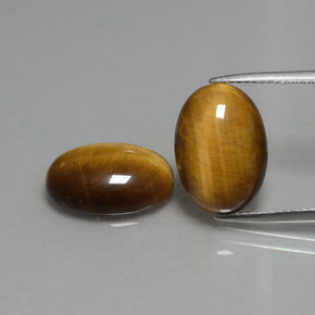 Achetez naturel 9,08ct marron tiger's eye gems, coupe ovale, en provenance thaïlande chez gemselect. en stock, livraison internationale!