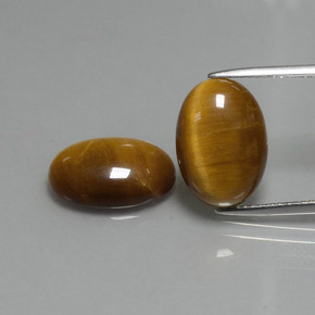 Achetez naturel 9,04ct marron tiger's eye gems, coupe ovale, en provenance thaïlande chez gemselect. en stock, livraison internationale!