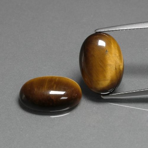 Achetez naturel 9.11ct Brun doré Oeil de Tigre gems, Coupe ovale, En provenance Thaïlande chez GemSelect. En stock, livraison internationale!