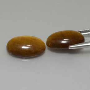 Achetez naturel 9,19ct marron tiger's eye gems, coupe ovale, en provenance thaïlande chez gemselect. en stock, livraison internationale!