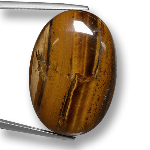Tiger's eye marron naturelle coupe ovale, 33,59 ct, opaque