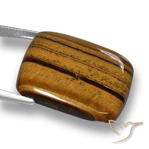 Œil de tigre Brun pain d'épices naturelle Coussin, 41.49 ct, Opaque