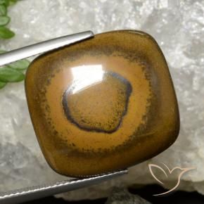 Œil de tigre Brun doré naturelle Coussin, 26.35 ct, Opaque