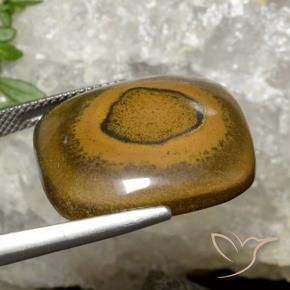 Œil de tigre Brun doré naturelle Coussin, 26.35 ct, Opaque