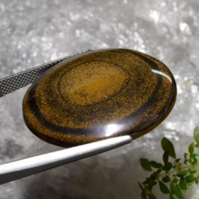 Tiger's eye marron naturelle coupe roude, 59,01 ct, opaque