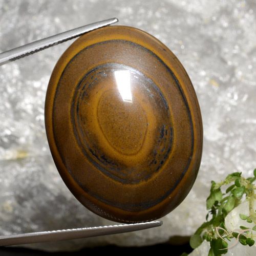 Tiger's eye marron naturelle coupe ovale, 89,36 ct, opaque