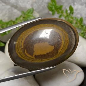 Œil de tigre Marron chaud naturelle ovale, 39.14 ct, Opaque