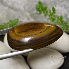 Œil de tigre Brun rugueux naturelle En forme de poire, 59.01 ct, Opaque