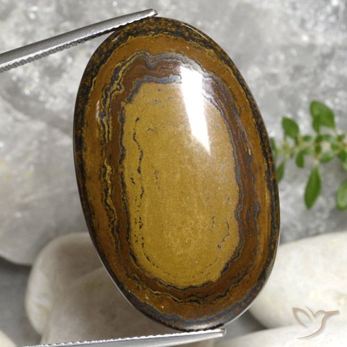 51.22ct Naturel Marron chaud Oeil de Tigre, ovale, Opaque